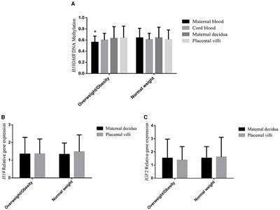 The relationship between obesity-related H19DMR methylation and H19 and IGF2 gene expression on offspring growth and body composition